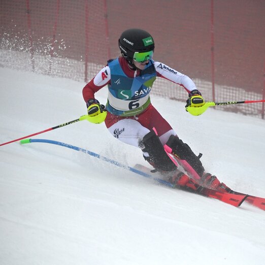 © Derganc © Derganc