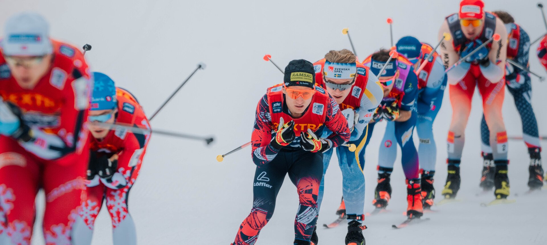 © Gregor Sieder © Gregor Sieder